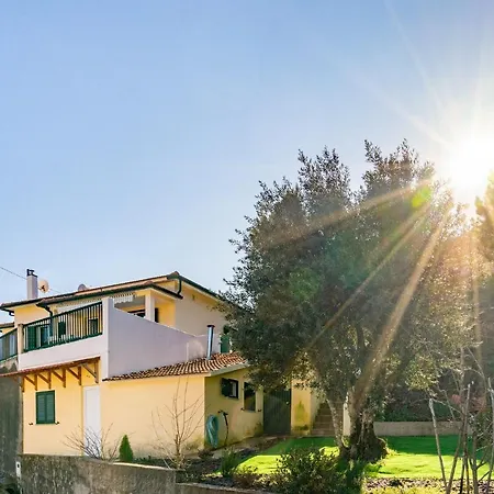 Casa Da Oliveira: Aradas Retreat With Wi-fi, Ac, And Barbecue *