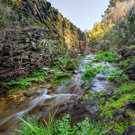 Casa Da Oliveira, Aradas, Pampilhosa Da Serra, Wifi, Ar Condicionado, Churrasqueira, Parqueamento, By Ig 別荘 *