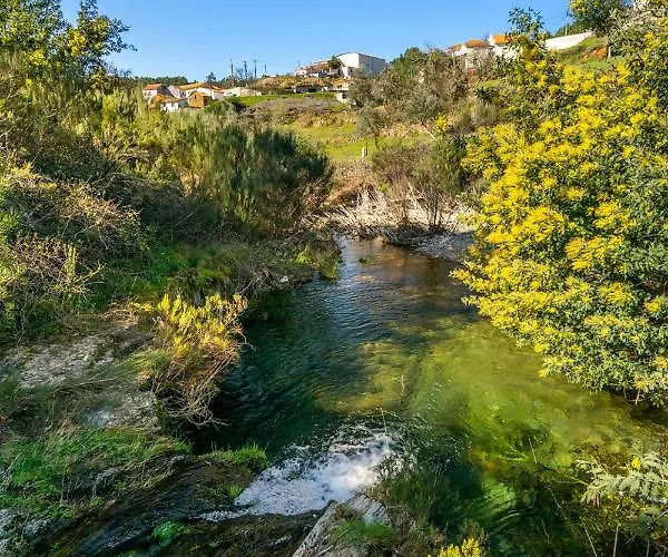 Semesterbostad Casa Da Oliveira, Aradas, Pampilhosa Da Serra, Wifi, Ar Condicionado, Churrasqueira, Parqueamento, By Ig