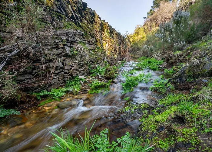 Casa Da Oliveira, Aradas, Pampilhosa Da Serra, Wifi, Ar Condicionado, Churrasqueira, Parqueamento, By Ig Semesterbostad *